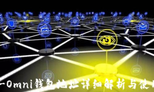 
USDT-Omni钱包地址详细解析与使用指南