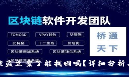 tpwallet被盗立案了能找回吗？详细分析与应对策略