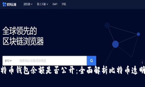 比特币钱包余额是否公开：全面解析比特币透明性