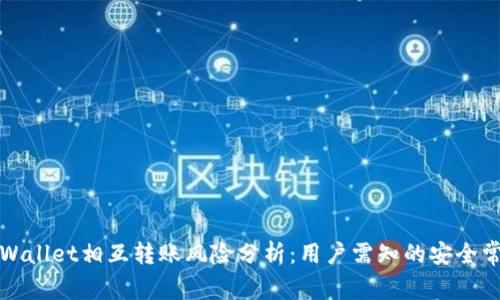 TPWallet相互转账风险分析：用户需知的安全常识