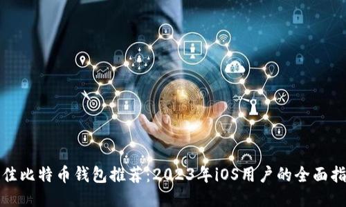 最佳比特币钱包推荐：2023年iOS用户的全面指南